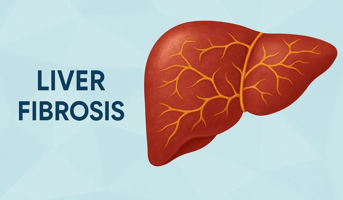 liver fibrosis curable